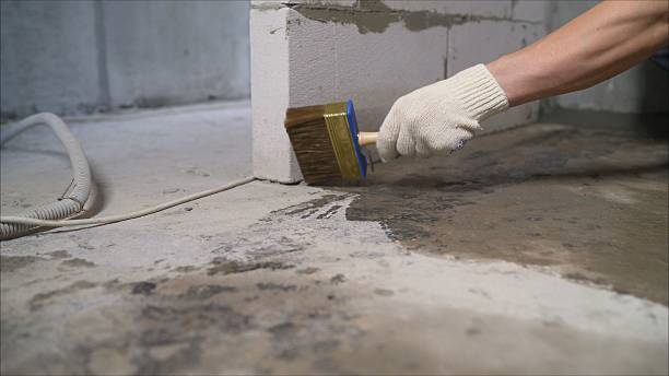 SJ Waterproofing Pros Waterproofing coverage map for Twelve Mile, IN and surrounding area